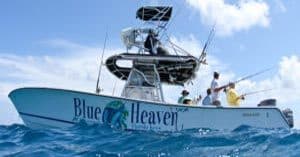 Blue Heaven Boat