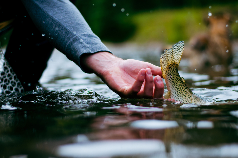 Catch and Release Fishing in Florida: What Species Can You Keep?